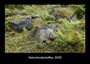 Tobias Becker: Naturlandschaften 2025 Fotokalender DIN A3, KAL