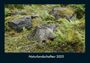 Tobias Becker: Naturlandschaften 2025 Fotokalender DIN A4, KAL