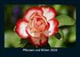 Tobias Becker: Pflanzen und Blüten 2026 Fotokalender DIN A5, KAL