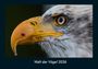 Tobias Becker: Welt der Vögel 2026 Fotokalender DIN A4, KAL