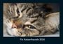 Tobias Becker: Für Katzenfreunde 2026 Fotokalender DIN A4, KAL