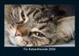 Tobias Becker: Für Katzenfreunde 2026 Fotokalender DIN A5, KAL