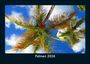Tobias Becker: Palmen 2026 Fotokalender DIN A5, KAL