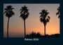 Tobias Becker: Palmen 2026 Fotokalender DIN A5, KAL