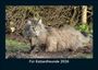 Tobias Becker: Für Katzenfreunde 2026 Fotokalender DIN A5, KAL