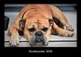 Tobias Becker: Hundezauber 2026 Fotokalender DIN A3, KAL