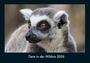 Tobias Becker: Tiere in der Wildnis 2026 Fotokalender DIN A4, KAL