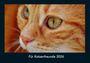 Tobias Becker: Für Katzenfreunde 2026 Fotokalender DIN A4, KAL