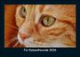 Tobias Becker: Für Katzenfreunde 2026 Fotokalender DIN A5, KAL