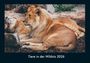 Tobias Becker: Tiere in der Wildnis 2026 Fotokalender DIN A4, KAL