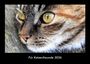 Tobias Becker: Für Katzenfreunde 2026 Fotokalender DIN A3, KAL