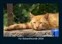 Tobias Becker: Für Katzenfreunde 2026 Fotokalender DIN A5, KAL