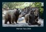 Tobias Becker: Welt der Tiere 2026 Fotokalender DIN A4, KAL