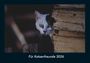 Tobias Becker: Für Katzenfreunde 2026 Fotokalender DIN A4, KAL