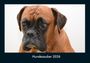 Tobias Becker: Hundezauber 2026 Fotokalender DIN A4, KAL
