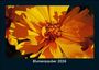 Tobias Becker: Blumenzauber 2026 Fotokalender DIN A5, KAL