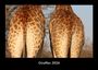 Tobias Becker: Giraffen 2026 Fotokalender DIN A3, KAL