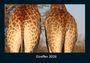 Tobias Becker: Giraffen 2026 Fotokalender DIN A4, KAL