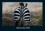 Tobias Becker: Zebrazauber 2026 Fotokalender DIN A4, KAL