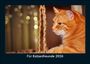 Tobias Becker: Für Katzenfreunde 2026 Fotokalender DIN A5, KAL
