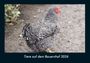 Tobias Becker: Tiere auf dem Bauernhof 2026 Fotokalender DIN A4, KAL