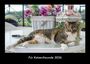 Tobias Becker: Für Katzenfreunde 2026 Fotokalender DIN A3, KAL