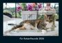 Tobias Becker: Für Katzenfreunde 2026 Fotokalender DIN A4, KAL