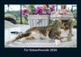 Tobias Becker: Für Katzenfreunde 2026 Fotokalender DIN A5, KAL