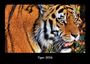 Tobias Becker: Tiger 2026 Fotokalender DIN A3, KAL