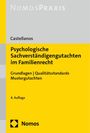 Helen A. Castellanos: Psychologische Sachverständigengutachten im Familienrecht, Buch