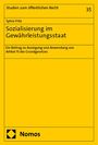 Sylvia Fritz: Sozialisierung im Gewährleistungsstaat, Buch
