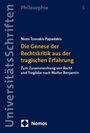 Nicos Tzanakis Papadakis: Die Genese der Rechtskritik aus der tragischen Erfahrung, Buch