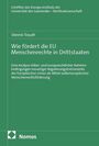 Dennis Traudt: Wie fördert die EU Menschenrechte in Drittstaaten, Buch