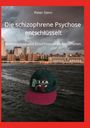 Peter Stern: Die schizophrene Psychose entschlüsselt, Buch