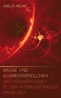 Axel D. Nelke: Masse und Elementarteilchen, Buch