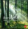 : Unser Wald Postkartenkalender 2024. Beeindruckende Detailfotos in einem Monats-Tischkalender zum Aufstellen und Aufhängen. Kleiner Kalender mit hochwertigen Aufnahmen., KAL