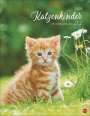 : Katzenkinder Posterkalender 2025, KAL