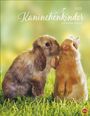 : Kaninchenkinder Posterkalender 2025, KAL