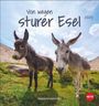 : Esel Postkartenkalender 2025 - Von wegen sturer Esel, KAL