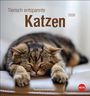 : Tierisch entspannte Katzen Postkartenkalender 2026, KAL