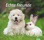 : times&more Echte Freunde Bildkalender 2026, KAL