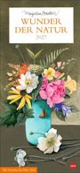 "Wunder der Natur 2027. Mit Vorschau bis März 2028." Illustration mit Blumenstrauß in blauer Vase.