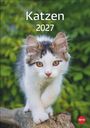 Katzen Kalender 2027, KAL