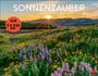 Text: "SONNENZAUBER 2027", "NUR €12,99".  
Eine blühende Wiese vor einem Sonnenuntergang über Hügeln.