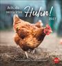 Hühner Postkartenkalender 2027 - Ach, du verrücktes Huhn!, KAL