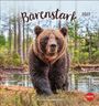 Bärenstark Postkartenkalender 2027, KAL