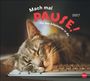 "Mach mal PAUSE! Für das Arbeitstier in dir 2027." Eine schlafende Katze liegt auf einer Computertastatur.