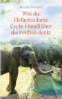 Morena Pelicano: Was die Elefantendame Ceyla-Himali über die Freiheit denkt, Buch