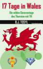 B. J. Tosyl: 17 Tage in Wales, Buch