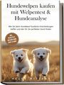 Helge Nitters: Hundewelpen kaufen mit Welpentest & Hundeanalyse: Wie Sie beim Hundekauf fundierte Entscheidungen treffen und den für Sie perfekten Hund finden - inkl. Selbsttest: Welcher Hund passt zu mir?, Buch